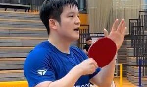 樊振东1-3不敌杜达，德甲首秀连输两盘，萨尔布吕肯队1比3输球